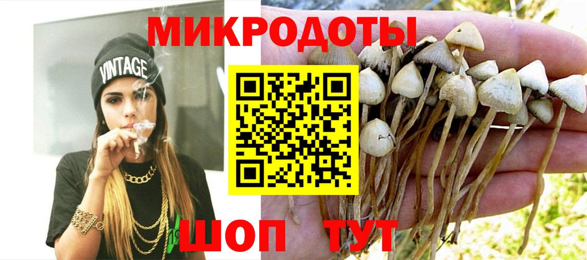 Псилоцибиновые грибы мухоморы  Галлюциногенные грибы Psilocybe  Зеленогорск  Вход с VPN 
